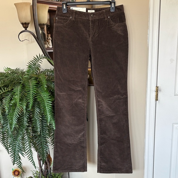 Brand New J. Jill Brown Corduroy Authentic Fit Boot Cut Pants 5-Pocket Stretch - Picture 1 of 16